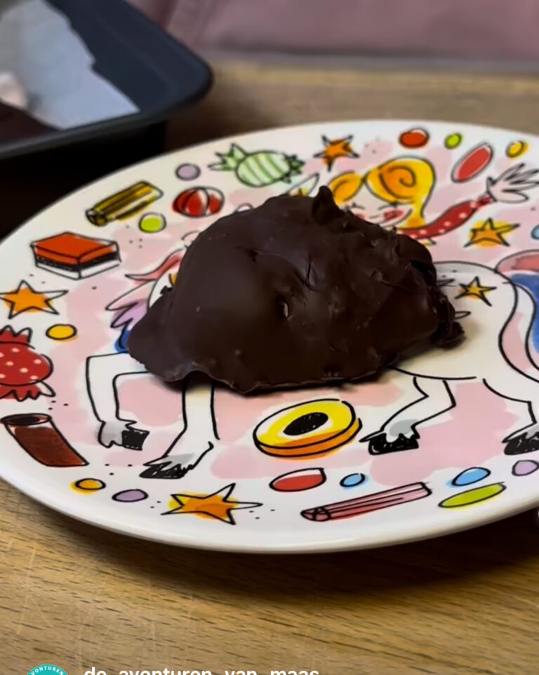 Frisse yoghurt chocolade schijfjes